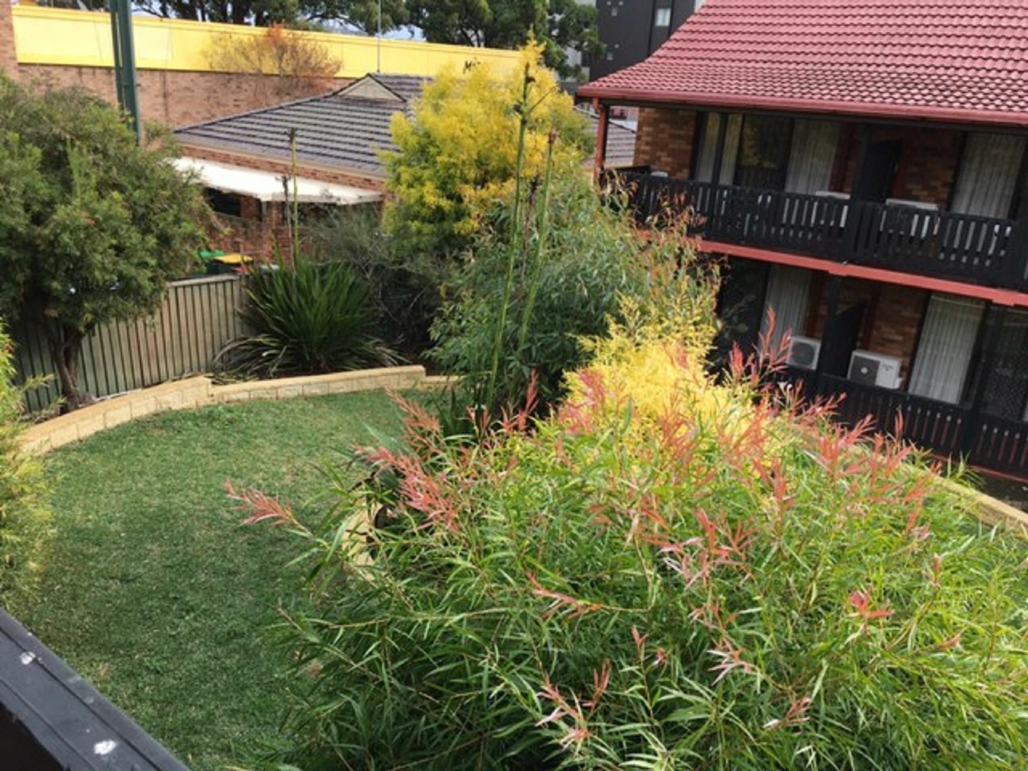 Maclin Lodge Motel Campbelltown Esterno foto